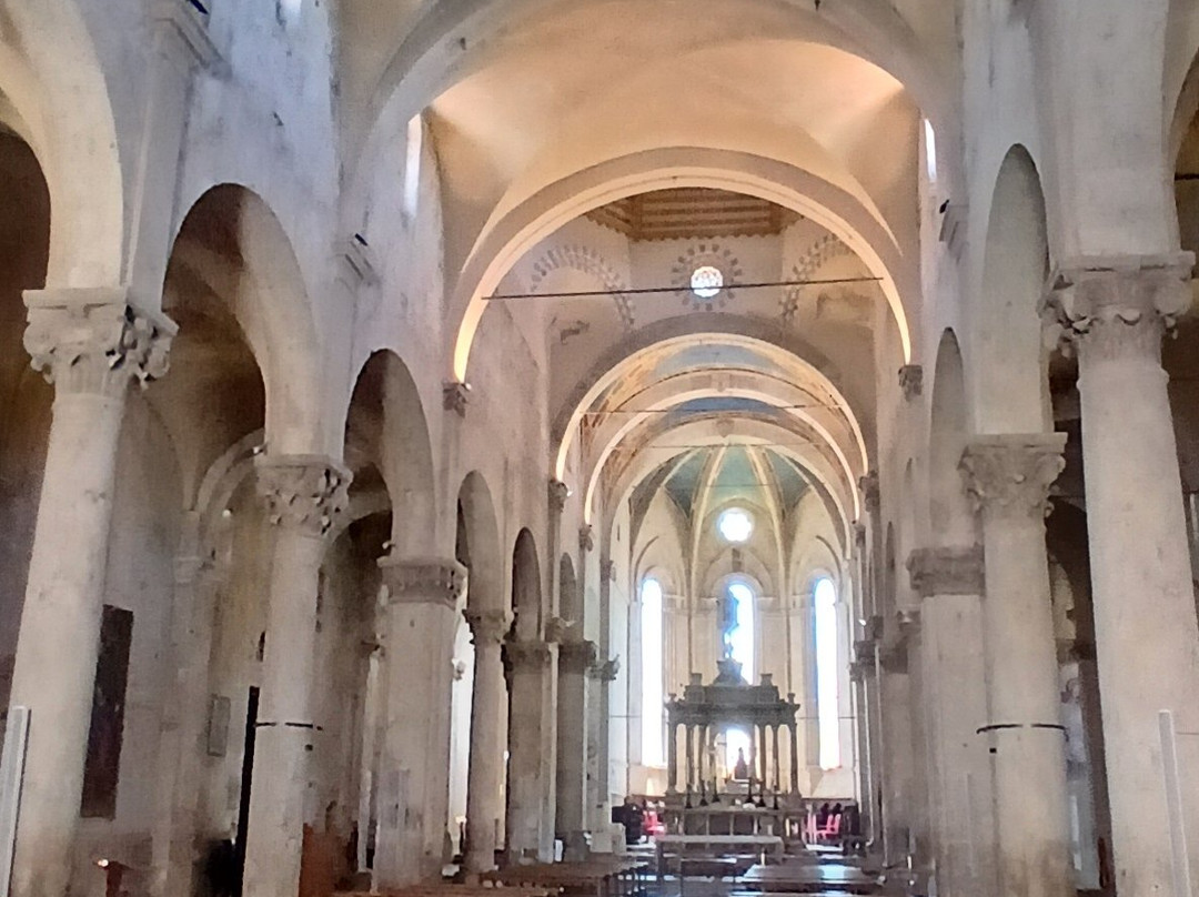 Cattedrale di San Cerbone-马萨马里蒂马必去景点