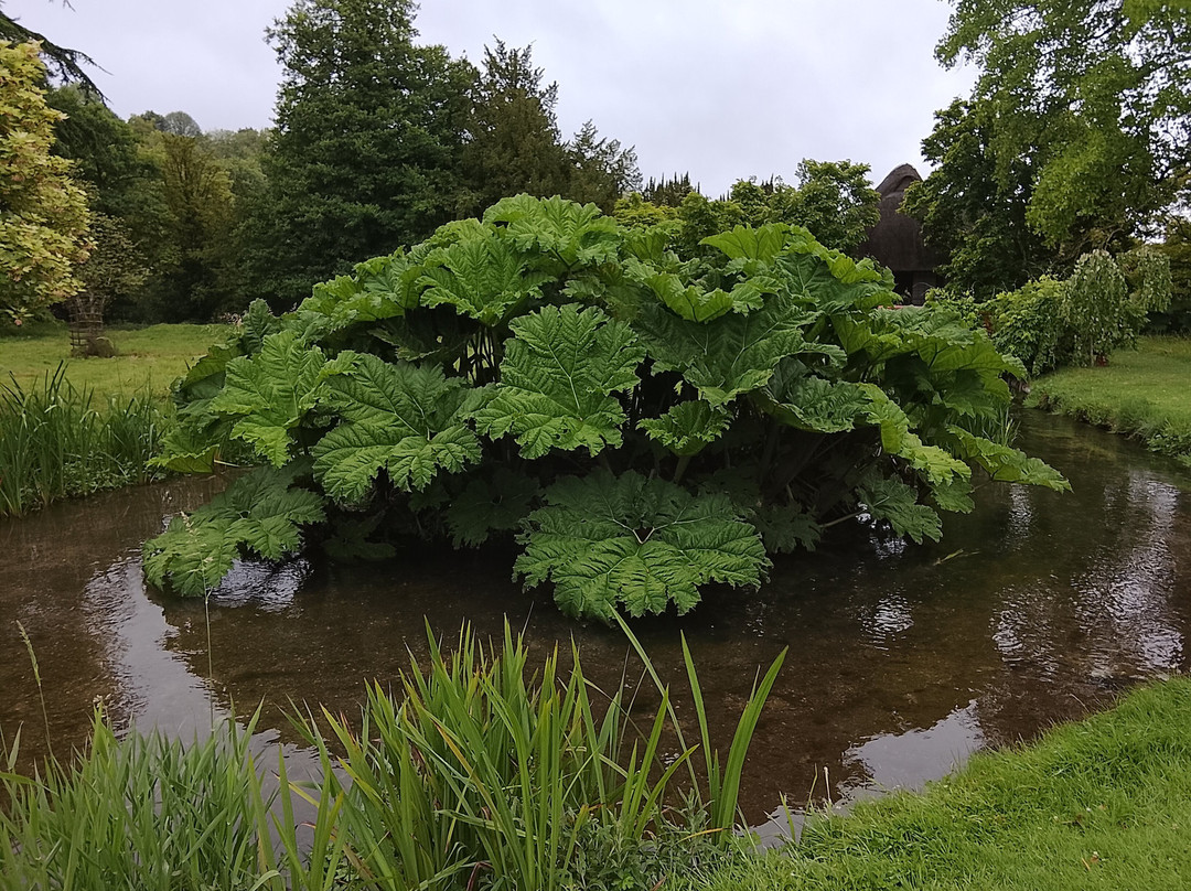 Heale Gardens-Middle Woodford必去景点