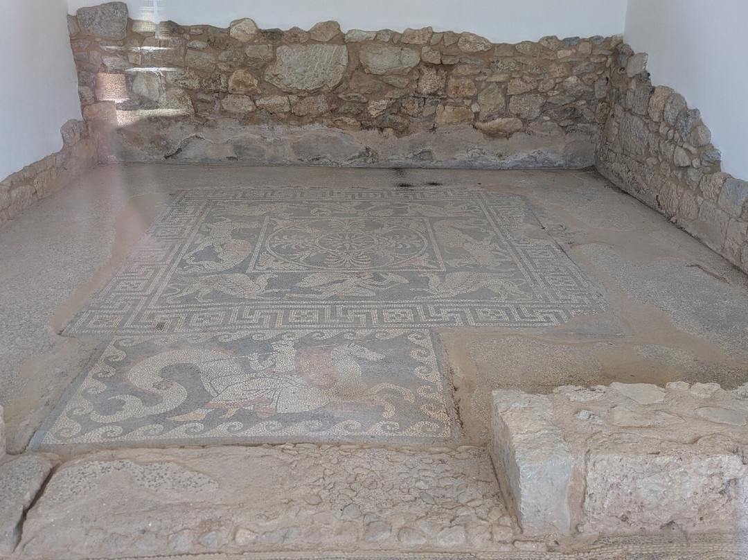 Archaeological Museum of Eretria-Eretria必去景点