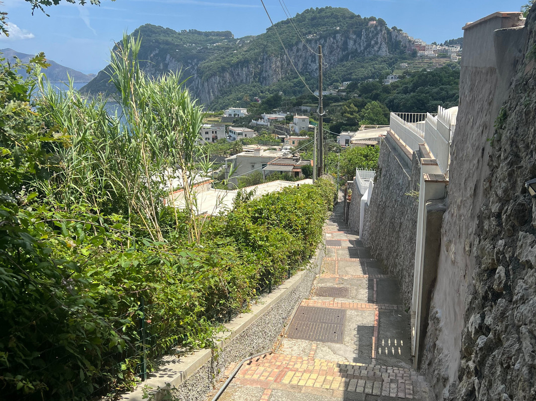Scala Fenicia (Phoenician Steps)-Anacapri必去景点