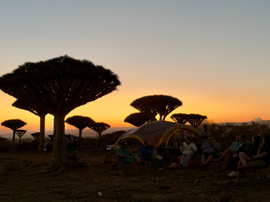 Yemen Horizon Tours & Travel-Seiyun必去景点