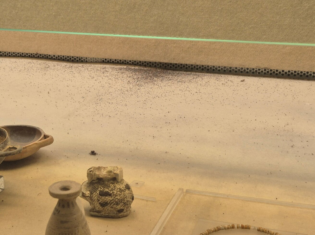 Museo Archeologico Regionale Paolo Orsi-锡拉库扎必去景点