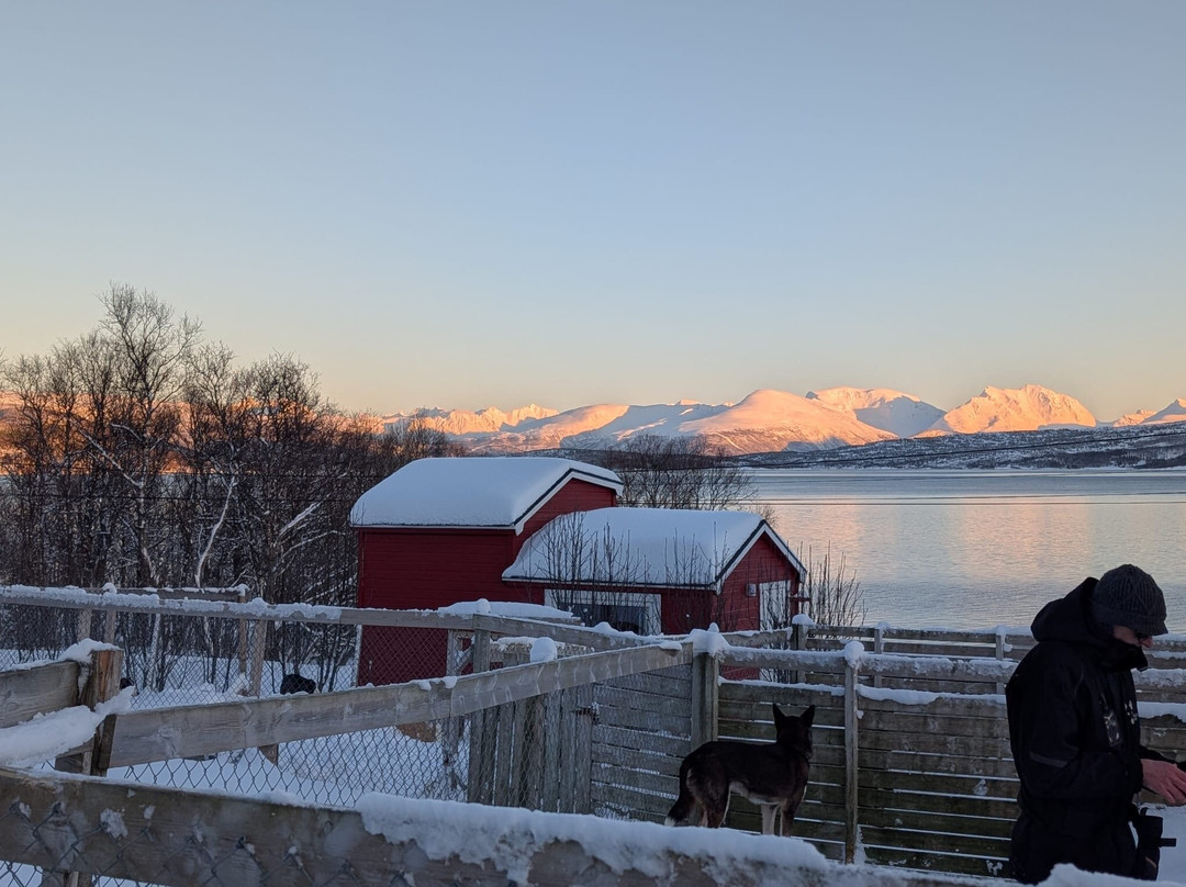 Kvaløya Husky-特罗姆瑟必去景点