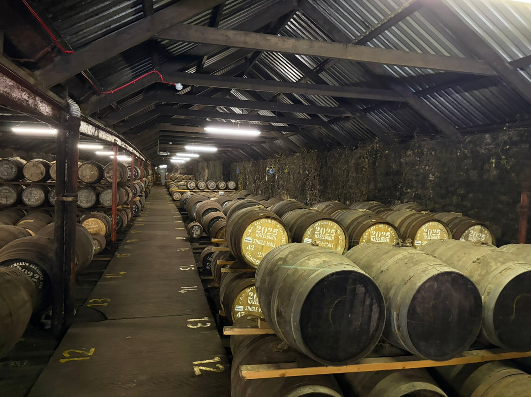 Springbank Distillery-Campbeltown必去景点