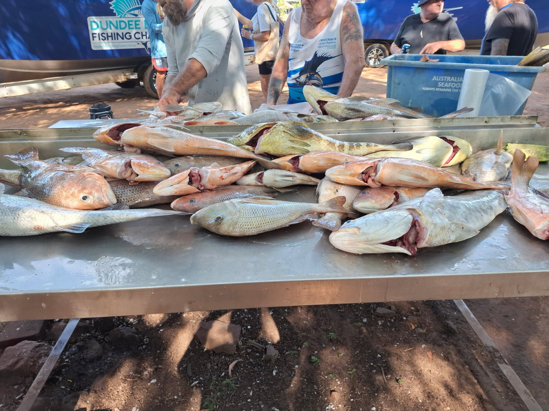 Dundee Beach Fishing Charters-Dundee Beach必去景点