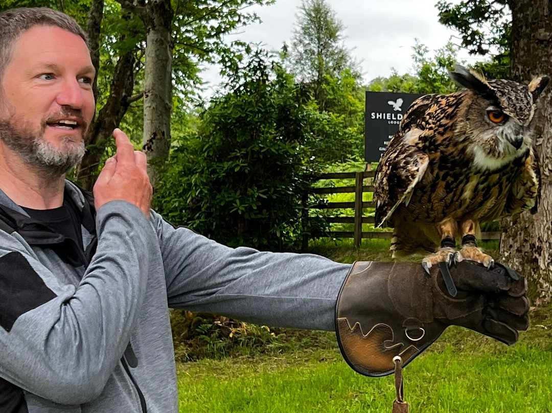 Shieldaig Falconry-盖尔洛赫必去景点