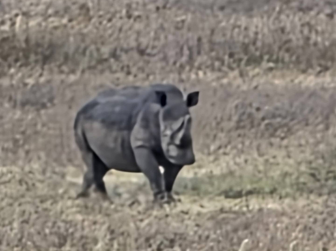 Makasa Tanzania Safaris-莫西必去景点
