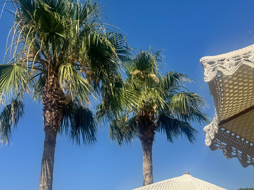 Macramè Apulian Beach Experience-莫诺波利必去景点