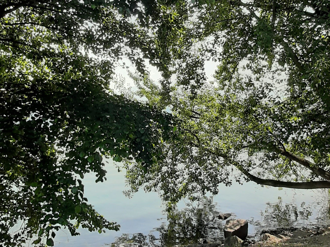 Lago di Caldonazzo-Calceranica al Lago必去景点