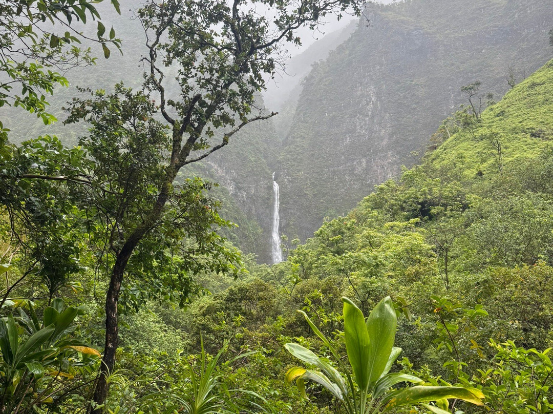 Hanakapiai Falls-可爱岛必去景点