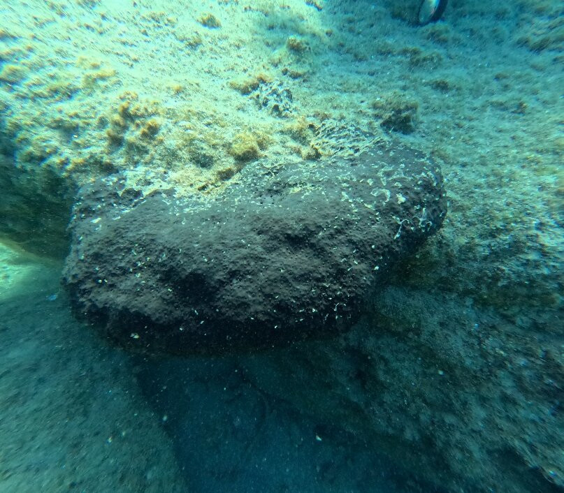 Arian Diving Centre-卡达米那必去景点