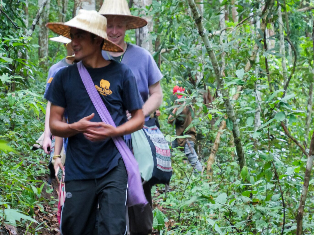 Blue Daily Elephant Care Sanctuary-清迈必去景点