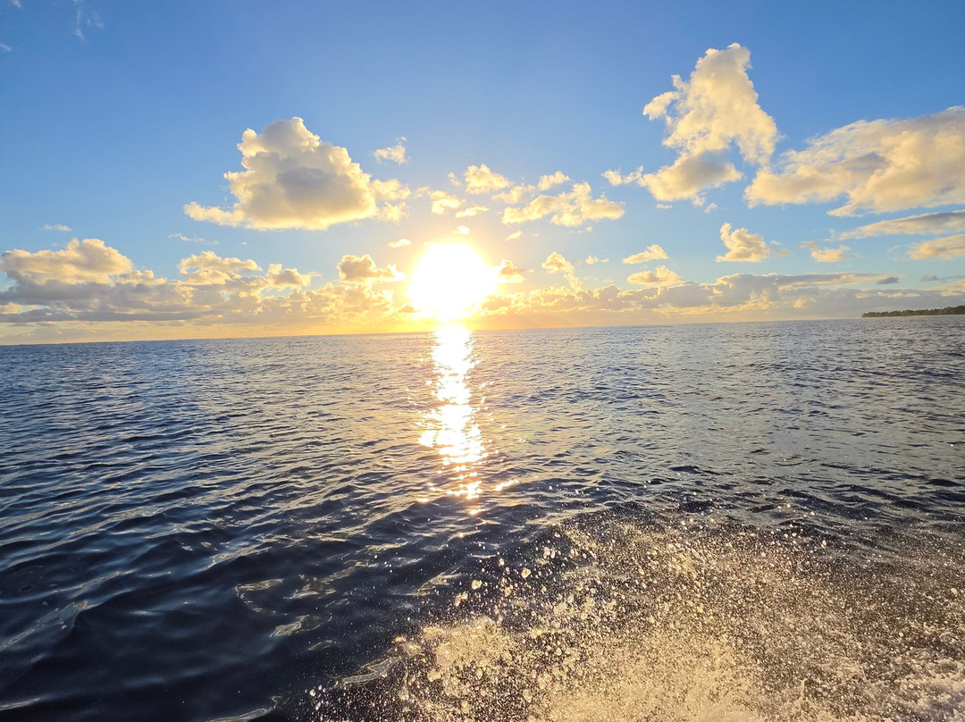 Raro fishing Charters