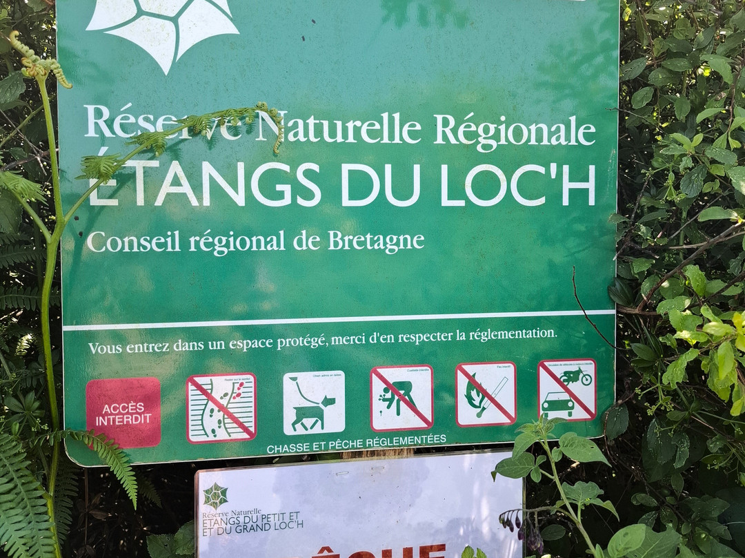 Réserve Naturelle Régionale des Étangs du Loch-吉代必去景点