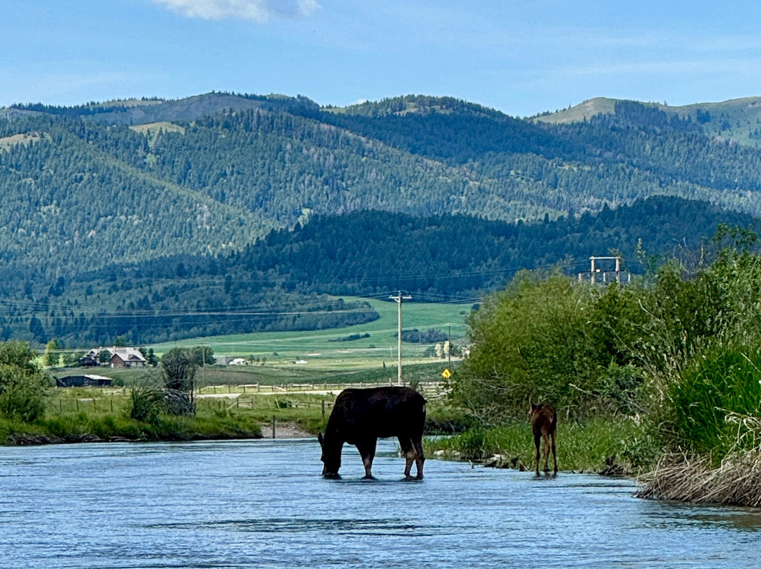 Teton River Supply-德里格斯必去景点