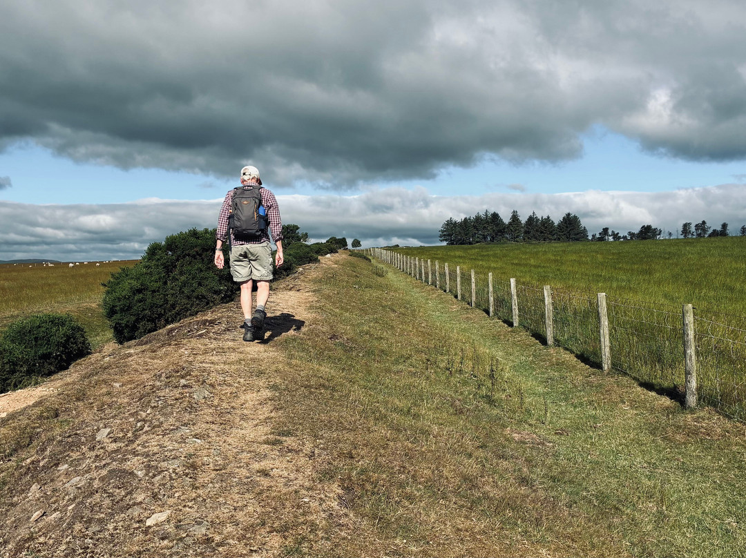 Anglesey And Wales Walking Holidays-Menai Bridge必去景点