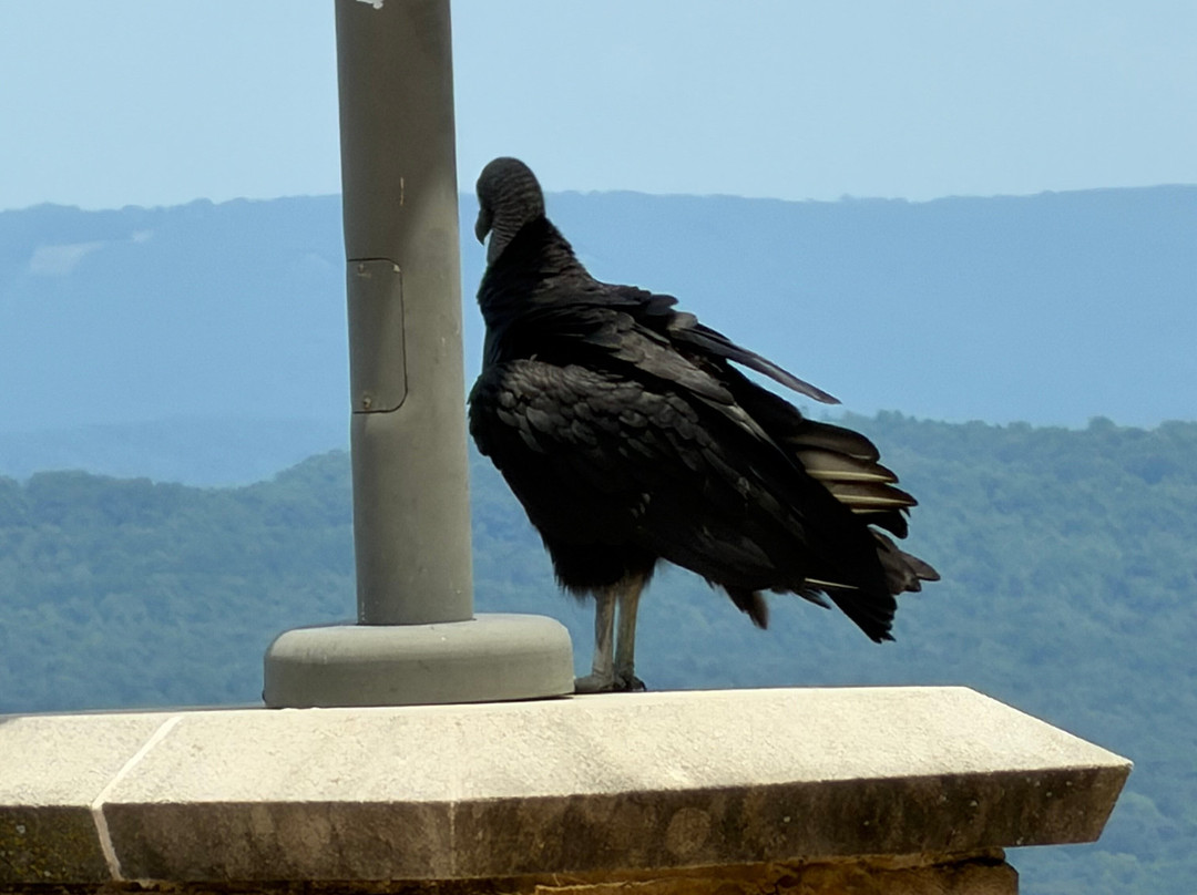 Lake Guntersville State Park Lodge主图