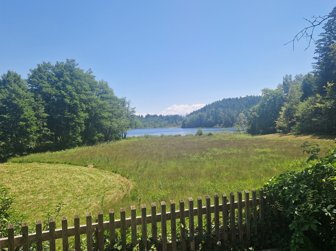 Seehof Feidig主图