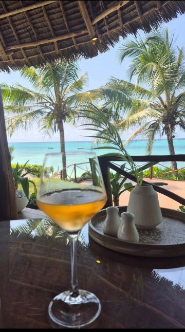 桑给巴尔扎瓦迪酒店-旅行者