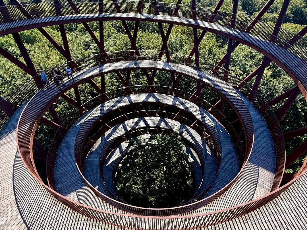 Forest Tower-Roennede必去景点