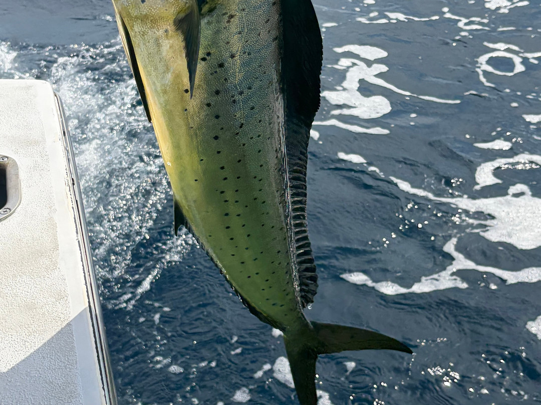 Fishing With Tico Huatulco-Crucecita必去景点