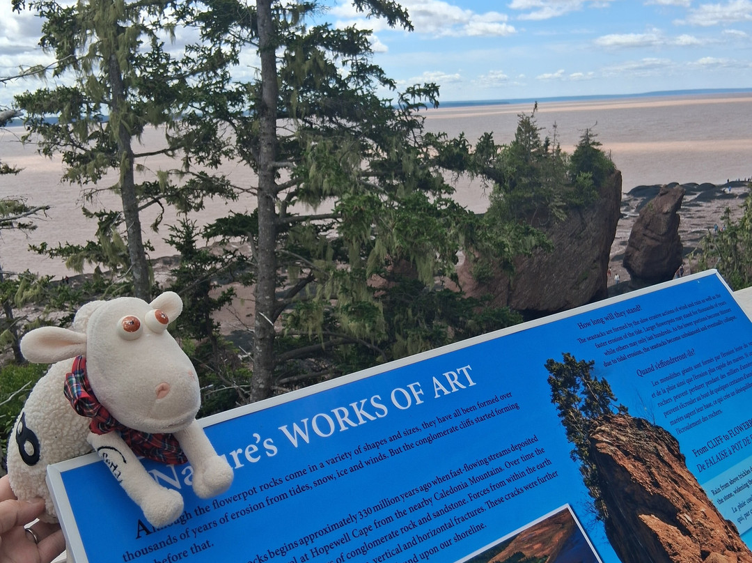 Hopewell Rocks-霍伯威尔角必去景点