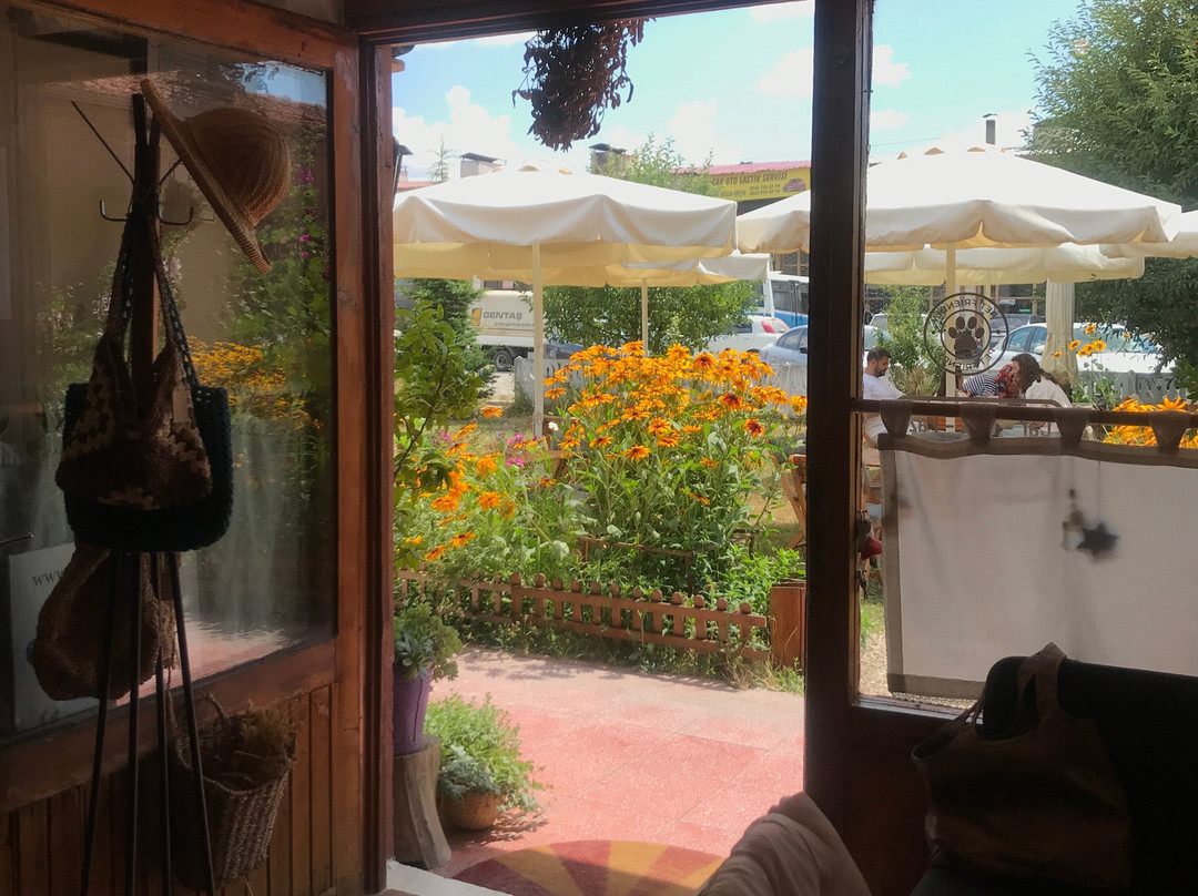 Ardıç Yaşam Cafe & Dükkan