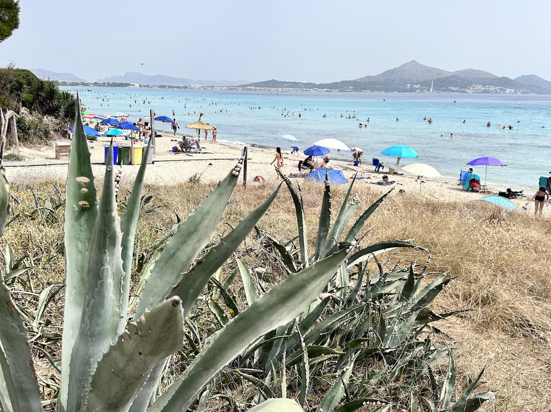 姆罗沙滩-穆罗海滩必去景点