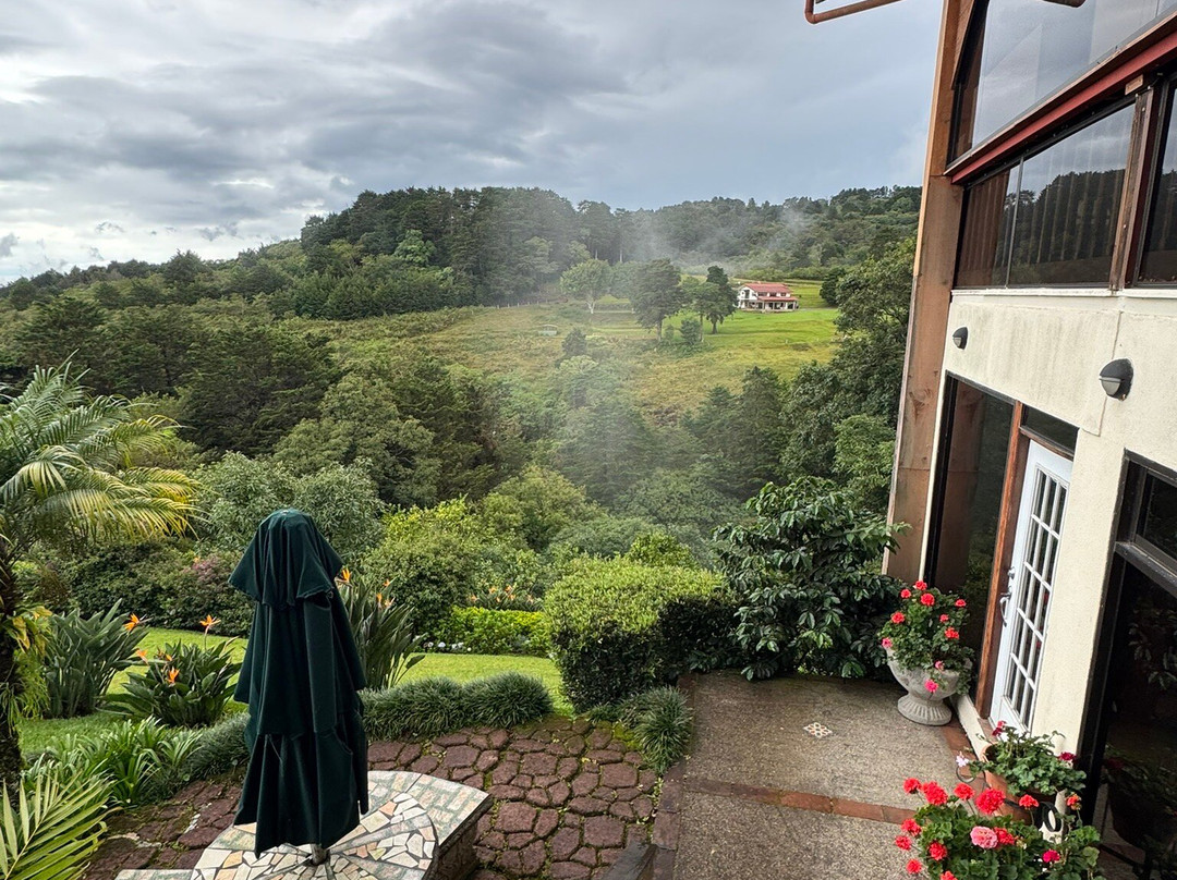 芬卡圣何塞机场芬卡帕拉伊索住宿加早餐旅馆主图