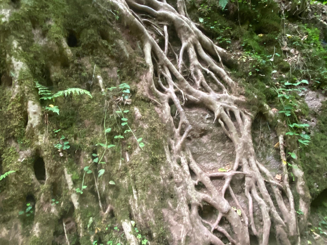 Drachenschlucht / Landgrafenschlucht-艾森纳赫必去景点