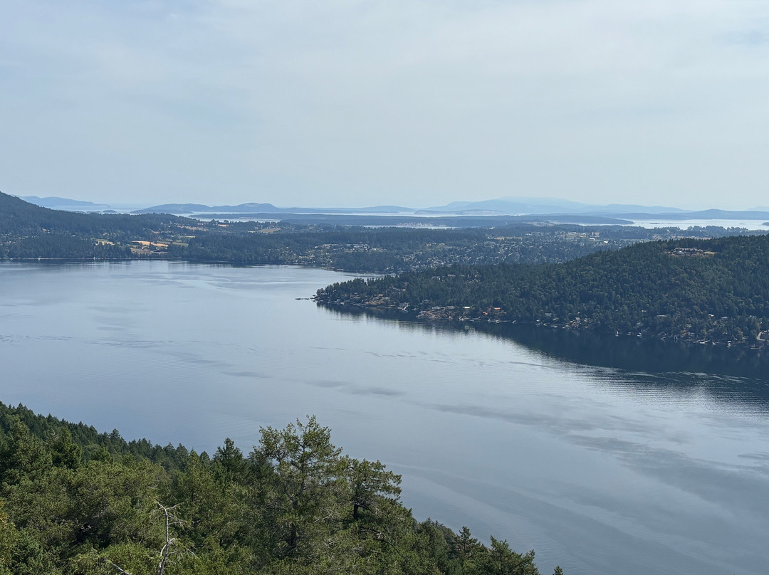 Malahat Skywalk-Malahat必去景点