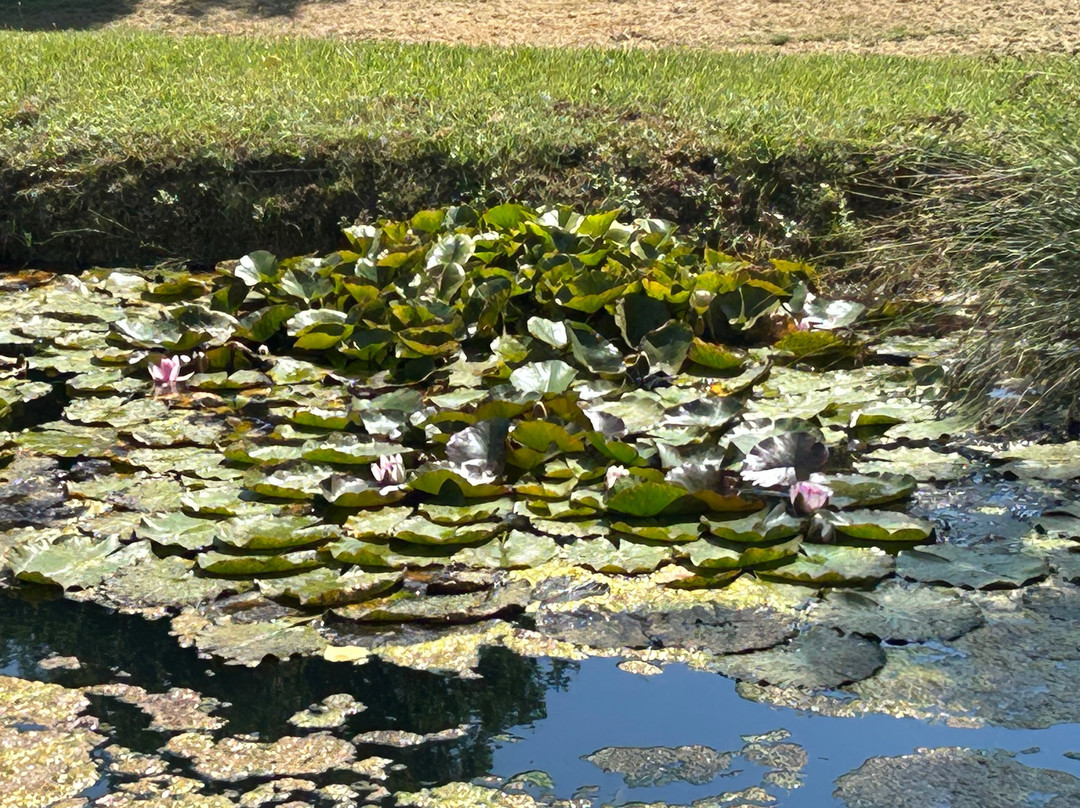 Domaine du Haut Baran主图