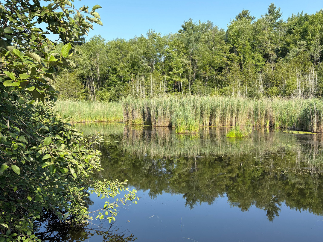 Marais de la Riviere aux Cerises-梅戈格必去景点