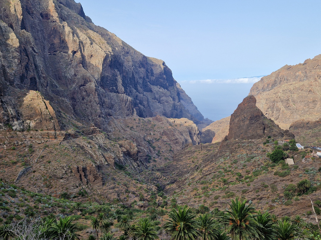 Adventures Tenerife-La Esperanza必去景点