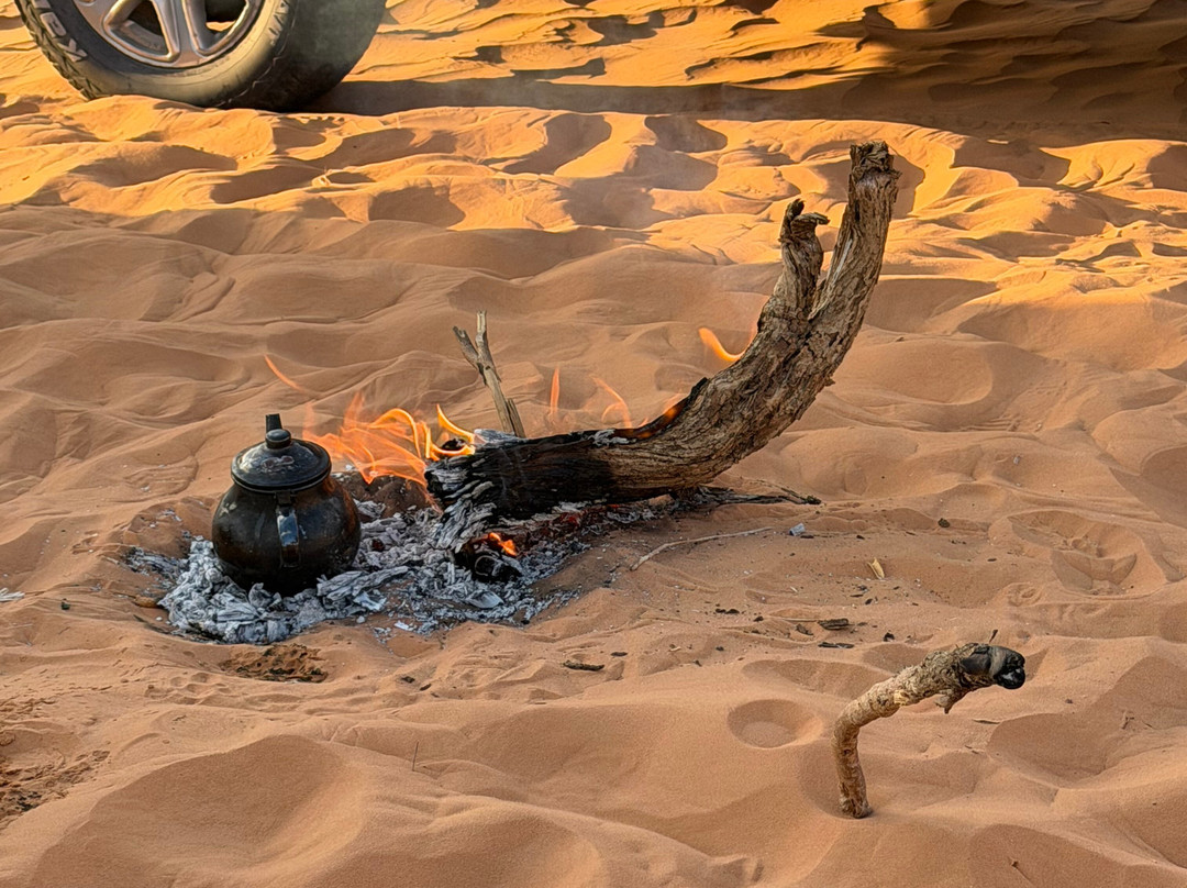Discover Ghardaia Travel Agency-盖尔达耶必去景点