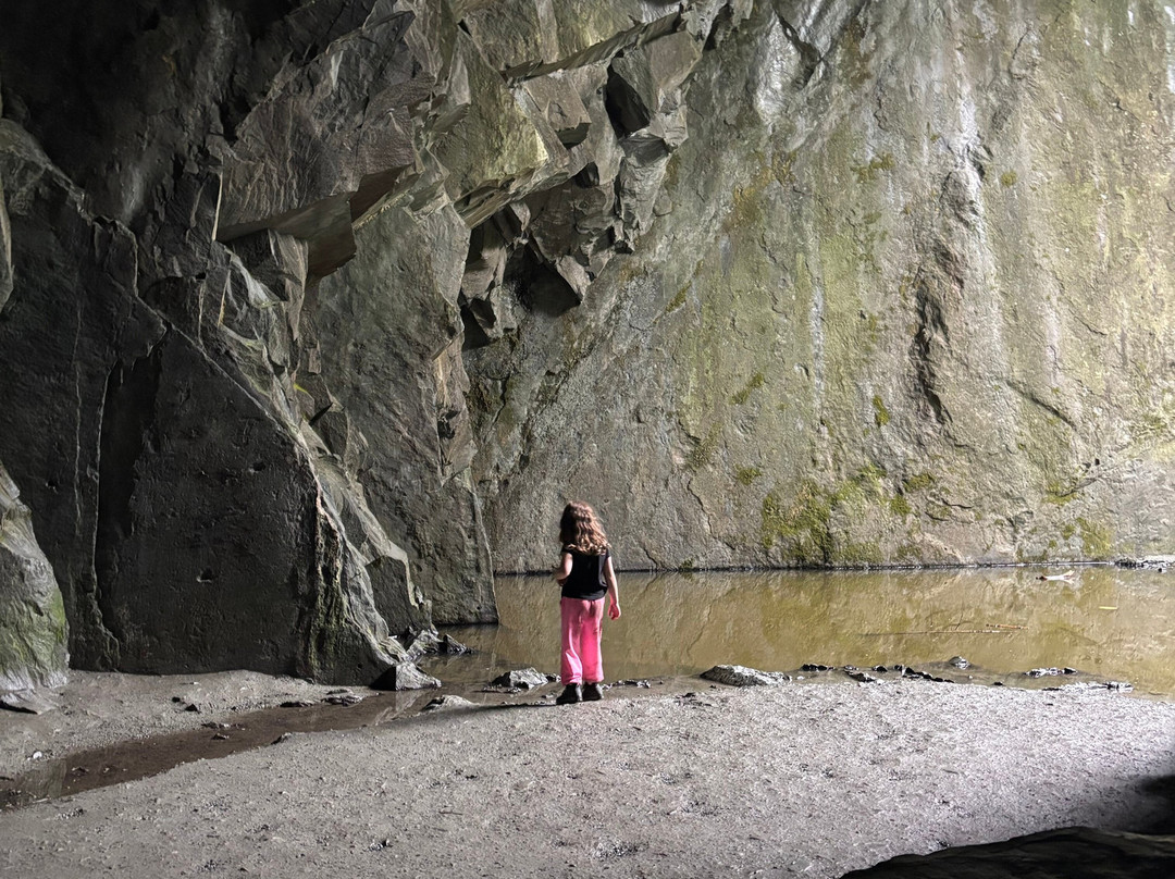 Cathedral Quarry (Cathedral Cave)-Little Langdale必去景点