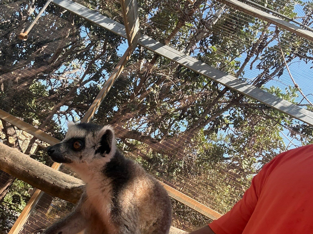 Pafos Zoo-帕福斯必去景点
