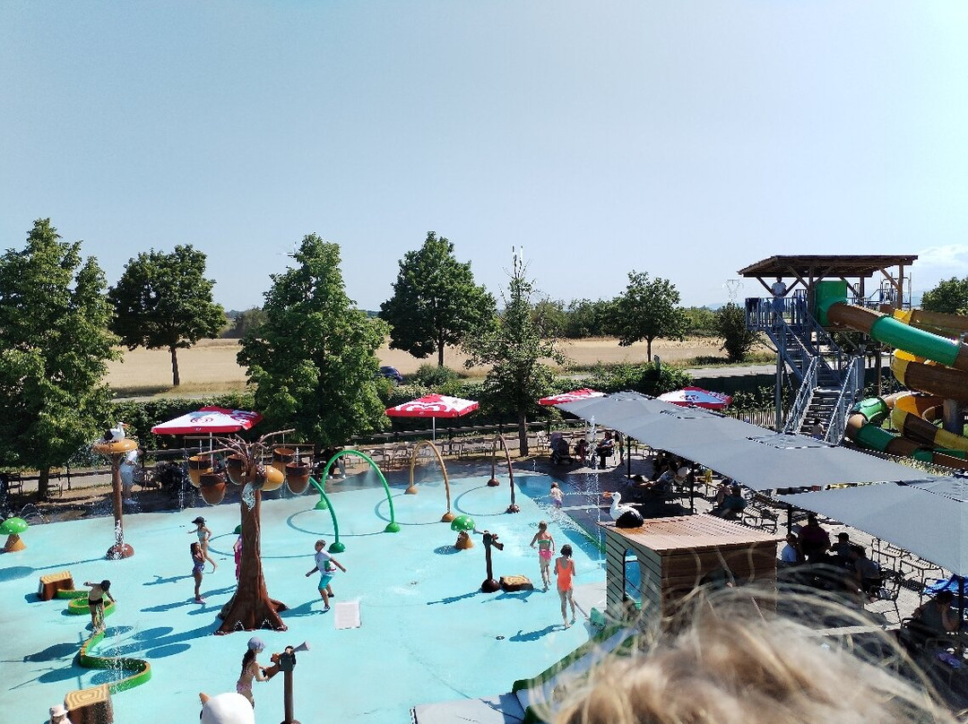 Cigoland - Parc des Cigognes et Attractions-Kintzheim必去景点