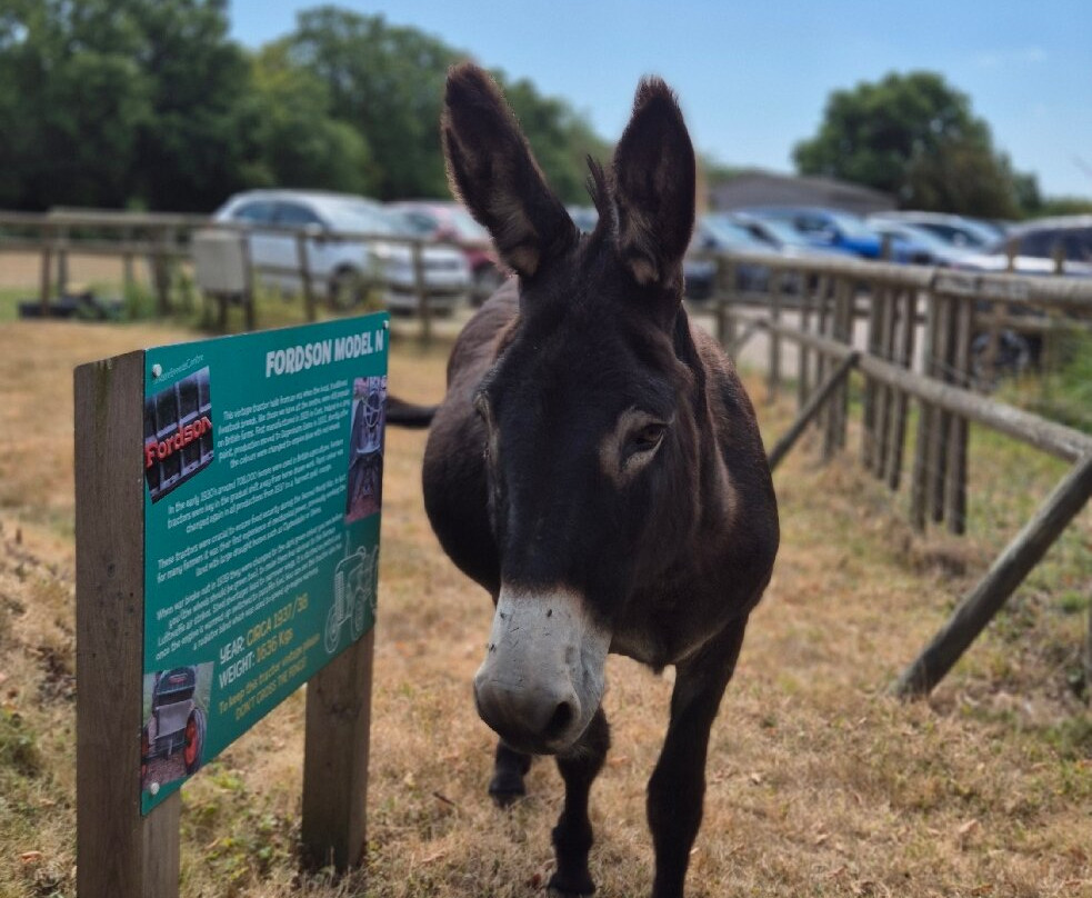 Rare Breeds Centre-Woodchurch必去景点