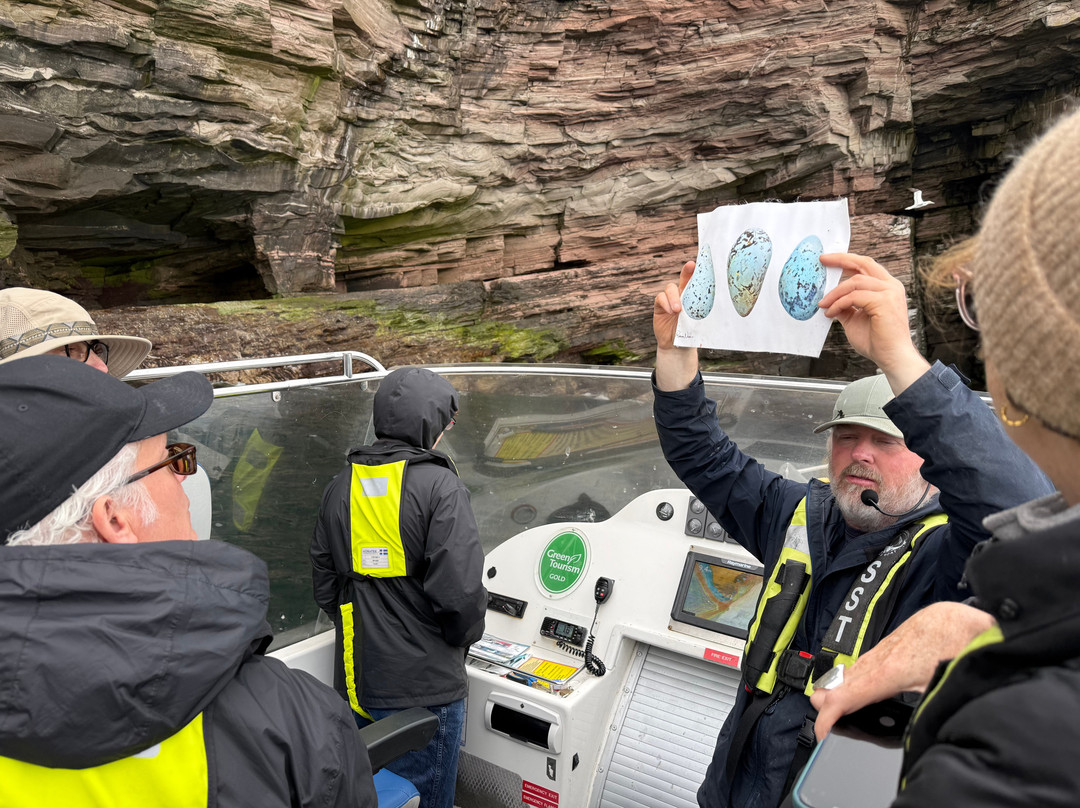 Shetland Seabird Tours - The Noss Boat-Lerwick必去景点