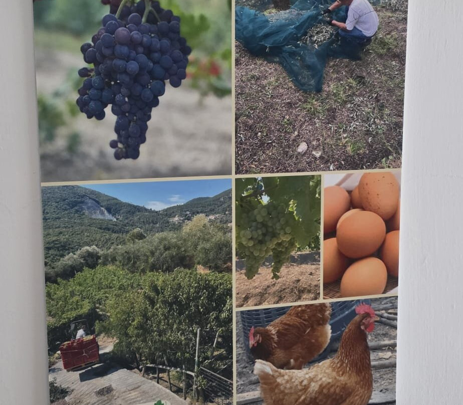 Agriturismo Costamagna主图