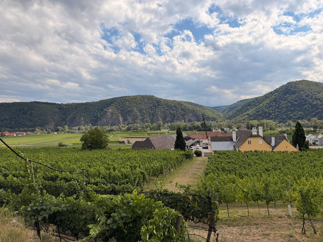 Domane Wachau Vinothek & Shop-都恩石必去景点