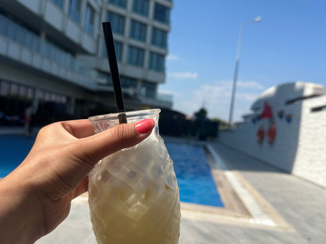 恰纳卡莱加里波利希尔顿欢朋酒店主图