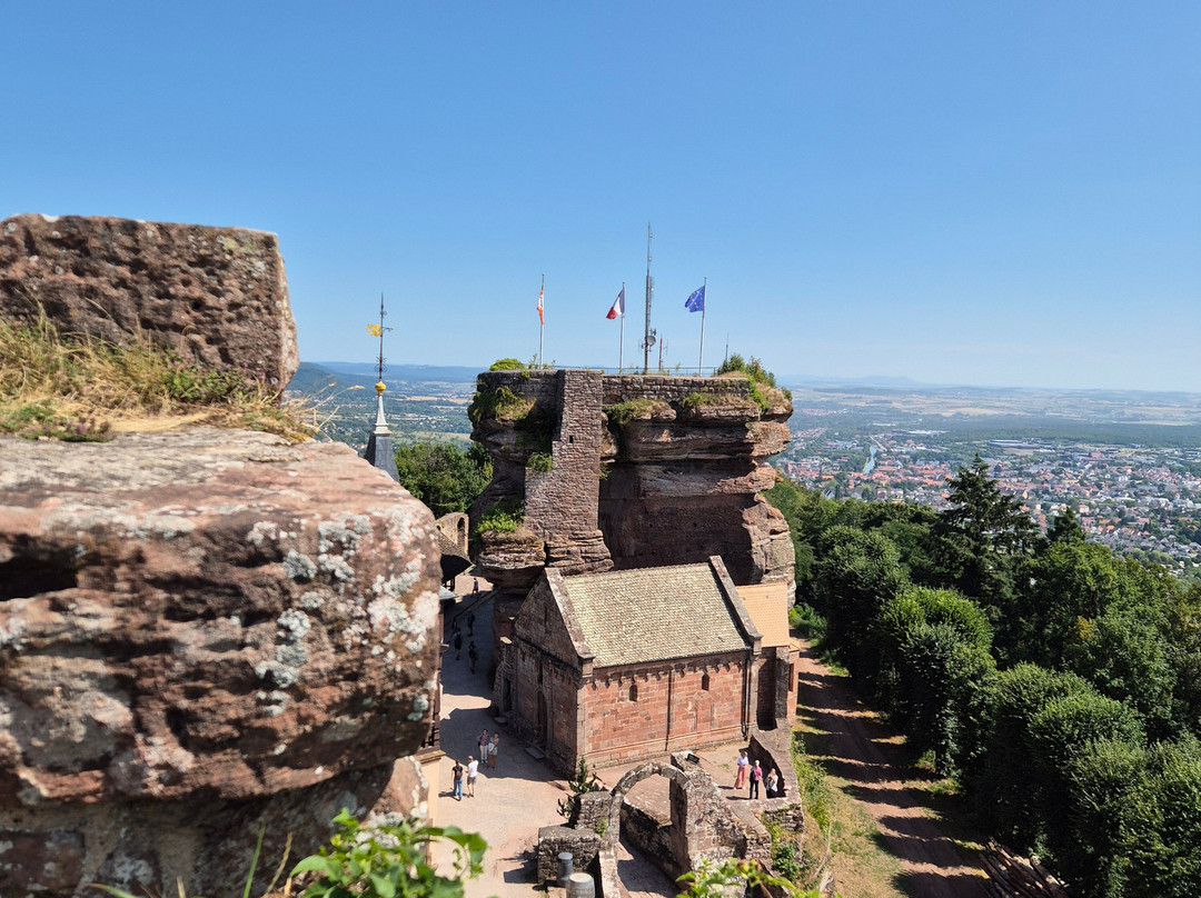 Chateau du Haut-Barr-Saverne必去景点