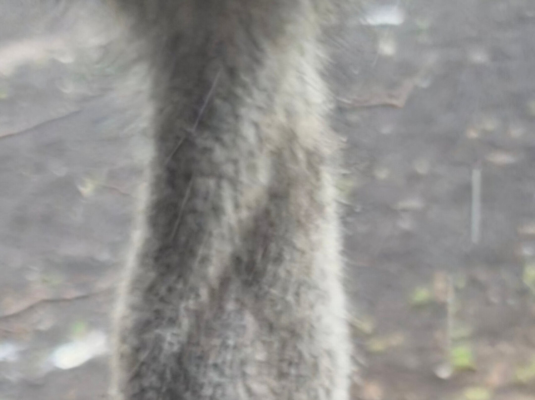 The Wild Animal Park-Chittenango必去景点