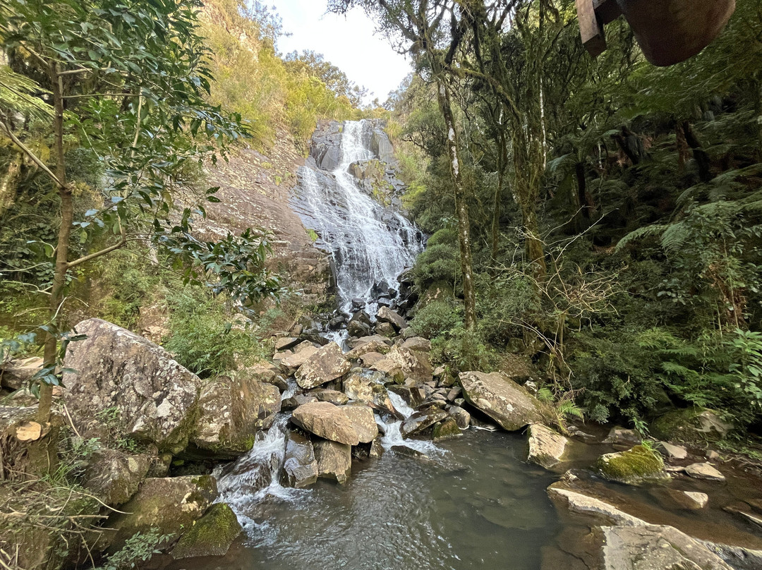 Parque Mundo Novo