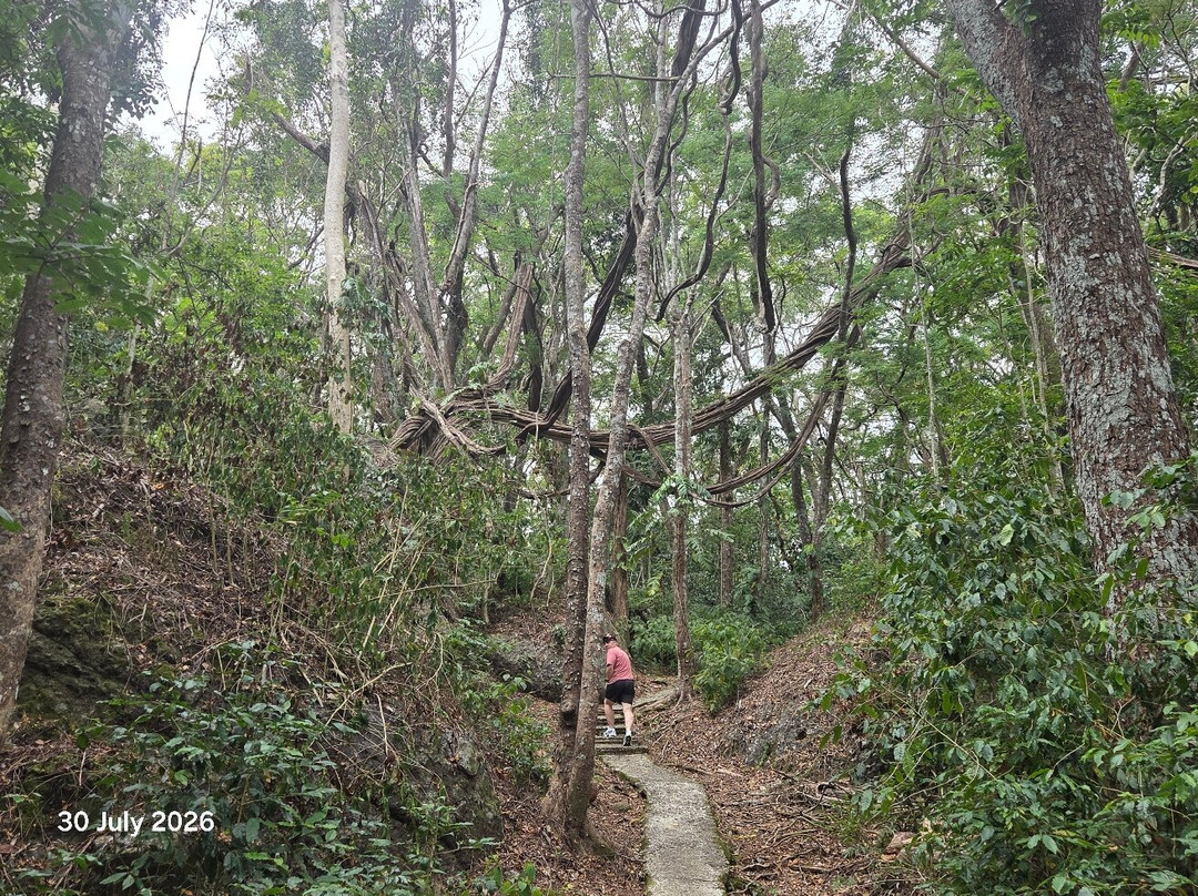 Sleeping Giant Zipline-纳迪市必去景点