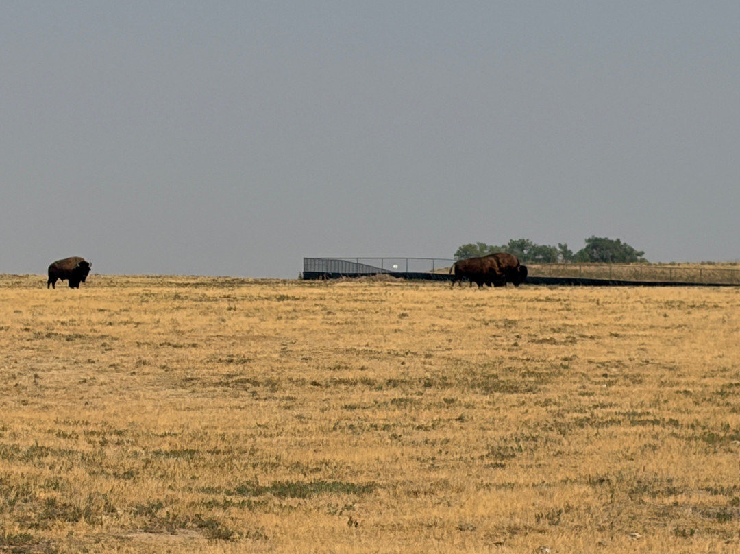 Rocky Mountain Arsenal National Wildlife Refuge-Commerce City必去景点