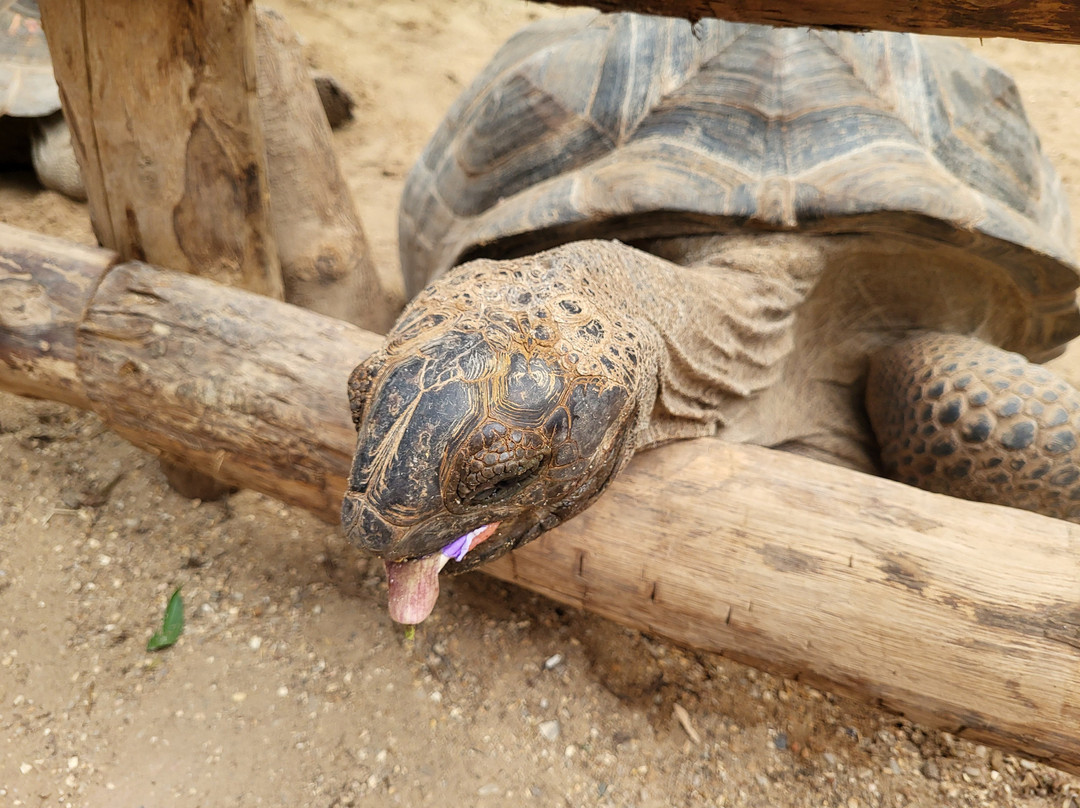Les Jardins Animaliers Biotropica-Val de Reuil必去景点