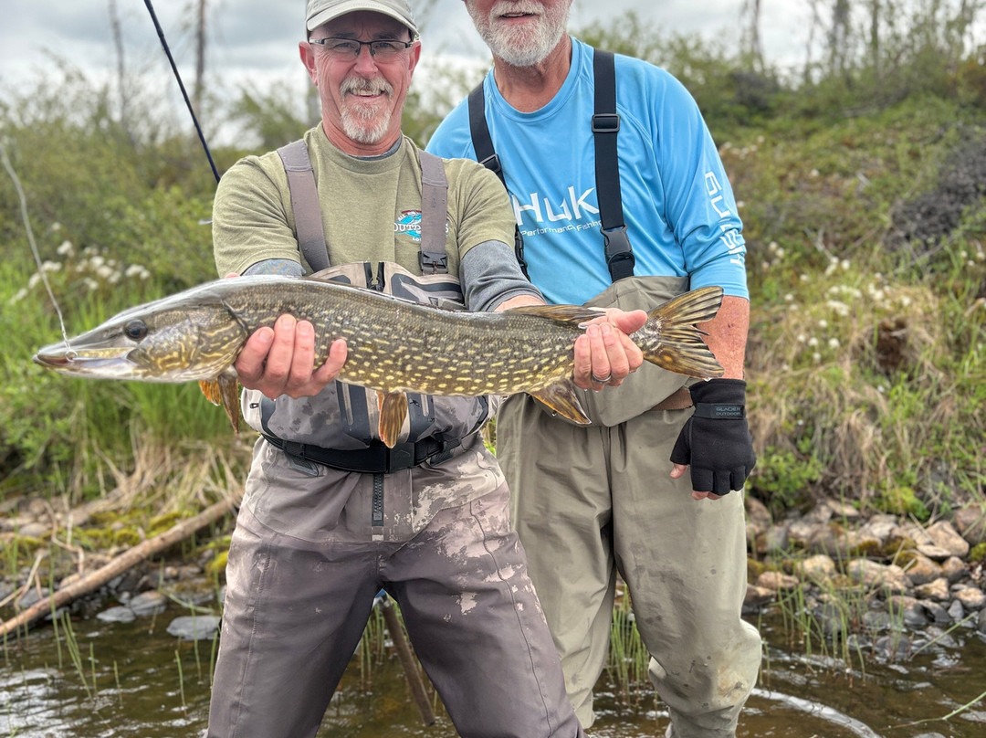 All Alaska Outdoors Lodge主图